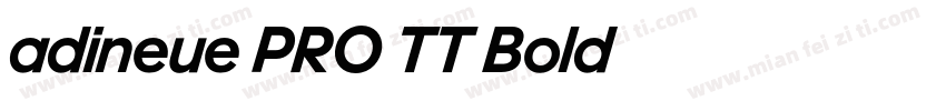 adineue PRO TT Bold字体转换